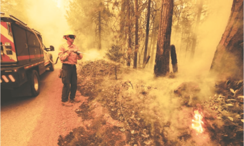 California wildfire explodes, becomes largest in US