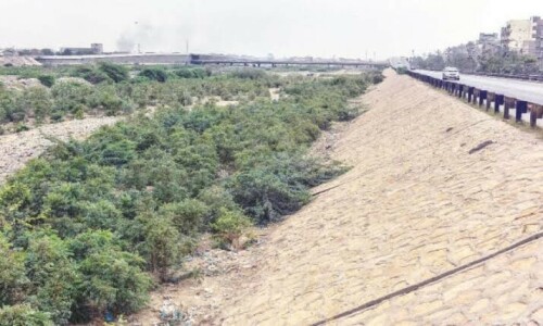 Sindh govt’s coastal land allotment plan opposed Sindh govt’s coastal land allotment plan opposed