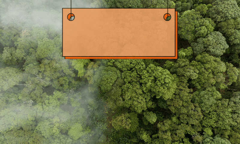 دی کلائمیٹ بُک: موسمیاتی تبدیلی تو بس تباہی ہی لاتی ہے