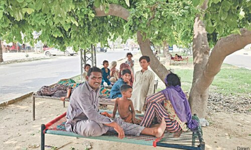 Greenbelts become refuge for those who can&rsquo;t afford electricity