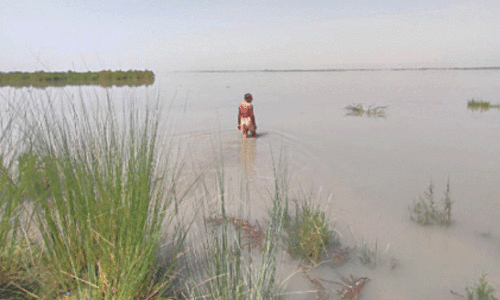 Hill torrents destroy crops, houses