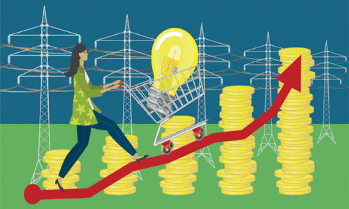 CORPORATE WINDOW: IPPs and capacity payments