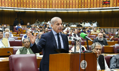 Working to give relief on electricity prices, says PM Shehbaz
