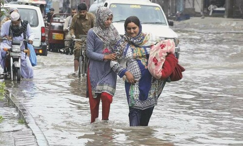 55 die, 145 injured during monsoon: Punjab PDMA
