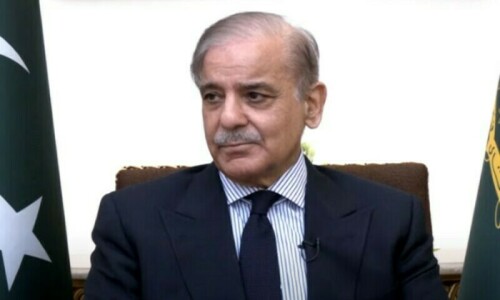 100 million trees to be planted nationwide, says Shehbaz