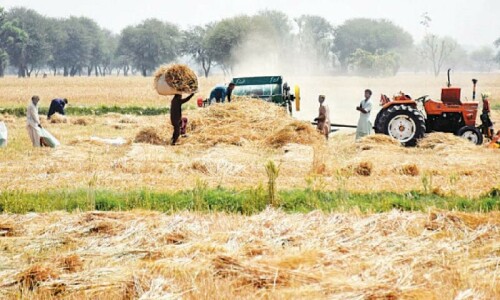 Loss of farmland to housing schemes a threat to food security: Sindh environment minister