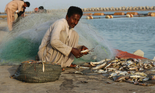 Action against illegal trawlers at Makran coast line