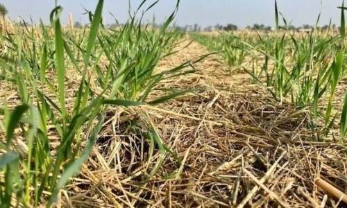 Towards regenerative agriculture