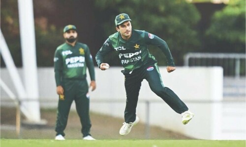 Shaheens down Renegades in Darwin