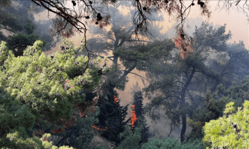 Hundreds evacuated as forest fire rages in Turkiye&rsquo;s Izmir for 3rd day