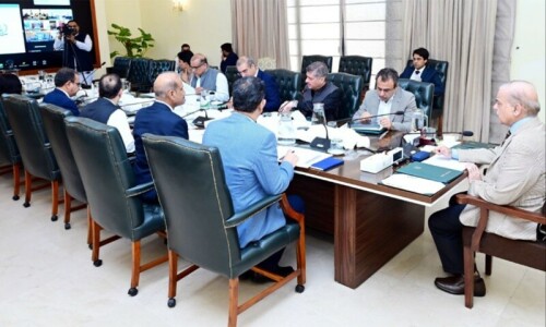 PM Shehbaz pledges crackdown on electricity theft, targets reduction in line losses