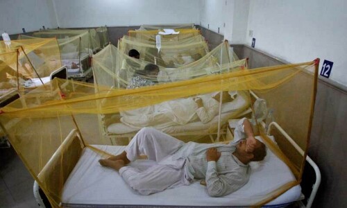 Two test positive for dengue in Rawalpindi as season&rsquo;s tally reaches 52