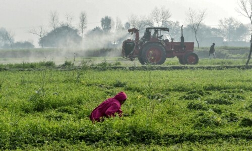 Agriculture: Prioritising agricultural education