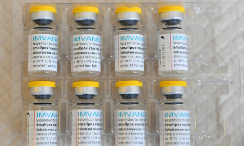Germany to donate 100,000 mpox vaccines to Africa Germany to donate 100,000 mpox vaccines to Africa
