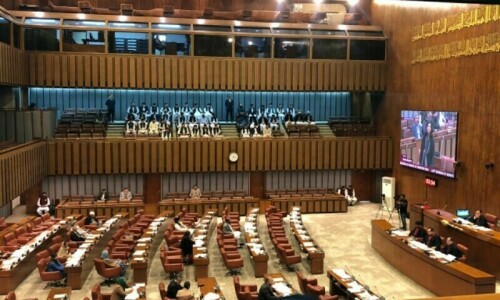 Bill to delay LG polls in capital bulldozed in Senate