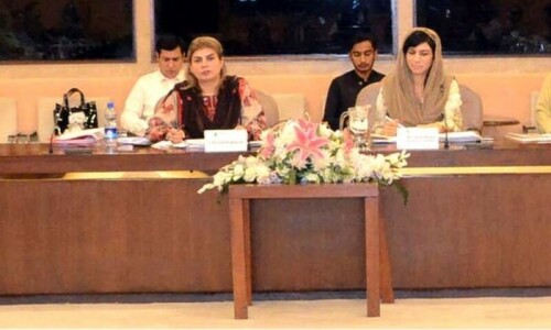 Senate panel for national database on domestic violence Senate panel for national database on domestic violence