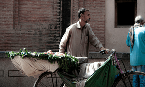 Optimism plummets as concerns about economy mount