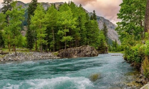 200 tourists stranded in Kumrat valley in Upper Dir district safely rescued: KP tourism dept 200 tourists stranded in Kumrat valley in Upper Dir district safely rescued: KP tourism dept
