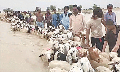 Heavy rainfall, massive power breakdown hit many districts in Sindh&rsquo;s interior
