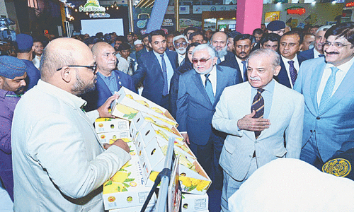 Pakistan looks to harvest marketing success through FoodAg