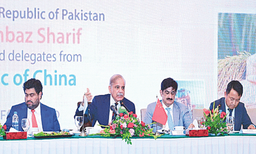 Shehbaz stresses enhanced economic ties with China