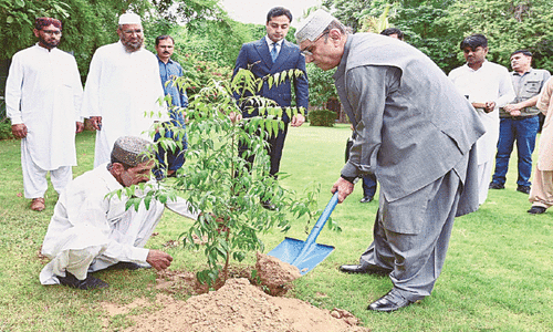 President calls for increasing forest cover to mitigate climate change