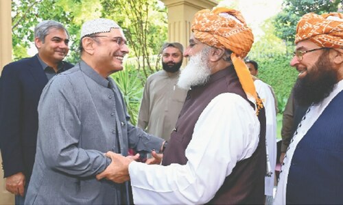 Zardari-Fazl meeting fuels speculations