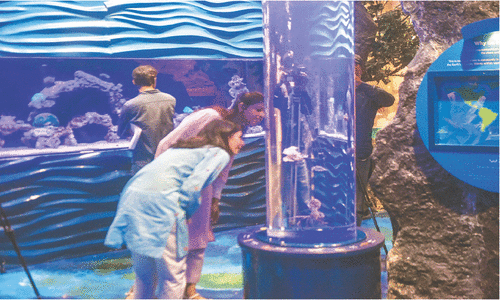 &lsquo;Ocean Odyssey&rsquo; brings fun and learning to life