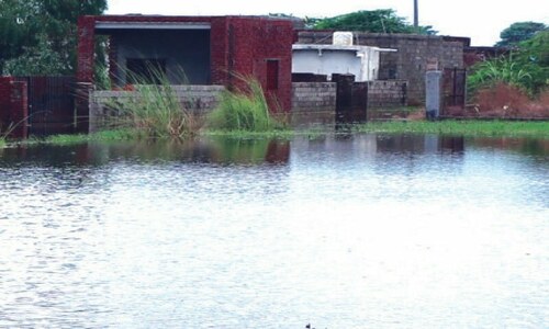Locals breach farmland to drain out rainwater