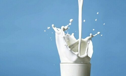 CORPORATE WINDOW: Struggles of packaged milk CORPORATE WINDOW: Struggles of packaged milk