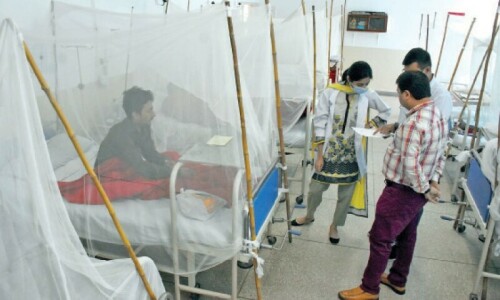 29 dengue patients in hospitals as Pindi reports 14 more cases
