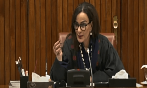 PPP lawmakers assail move to amend Irsa law PPP lawmakers assail move to amend Irsa law