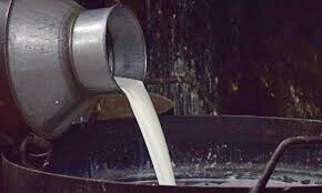 13 of family die after allegedly consuming poisonous milk in Khairpur, chemical report confirms