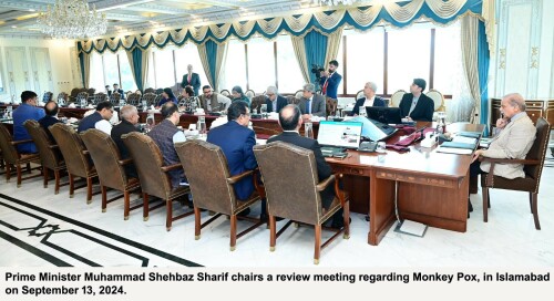 PM Shehbaz urges measures to prevent mpox spread