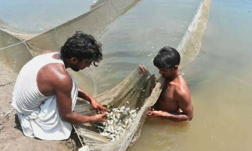 Murad to approach Centre for ban on import of harmful fishing net