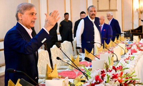 PM Shehbaz takes allies on board over &lsquo;constitutional package&rsquo;