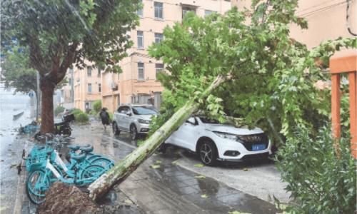 Strongest storm in seven decades pounds Shanghai Strongest storm in seven decades pounds Shanghai