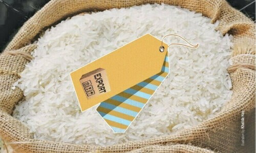 Rice exports touched $3.9bn in 2023-24