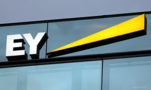India probing EY&rsquo;s &lsquo;work environment&rsquo; after death of young employee