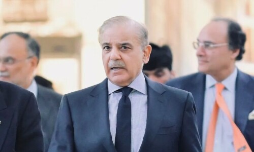 Citizens chose economic policies over politics of chaos, says PM Shehbaz Citizens chose economic policies over politics of chaos, says PM Shehbaz