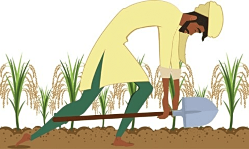 Why IMF has intervened in the agri sector Why IMF has intervened in the agri sector