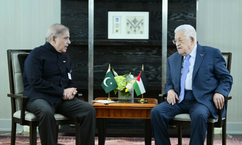 PM Shehbaz urges world support for immediate Gaza truce
