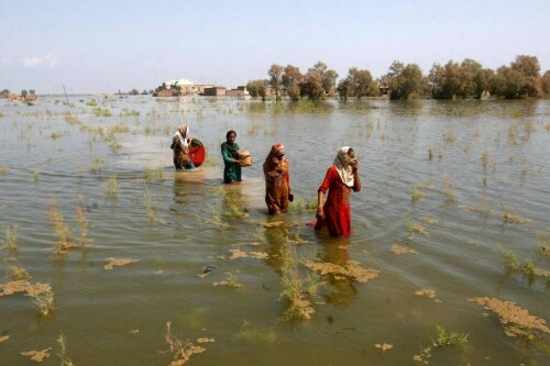 &lsquo;Passivity accomplishes nothing,&rsquo; says climate coordinator
