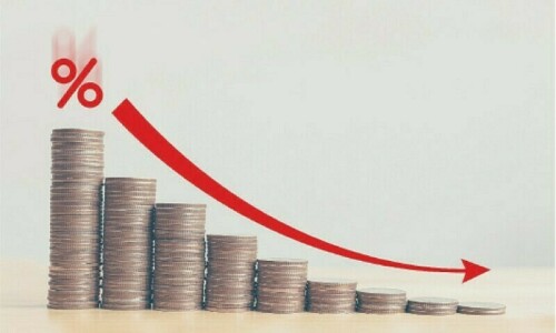 Government paints rosy picture of economy Government paints rosy picture of economy