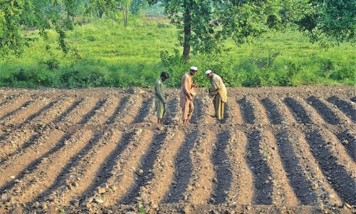 1m farmers registered for Kissan Card scheme 1m farmers registered for Kissan Card scheme