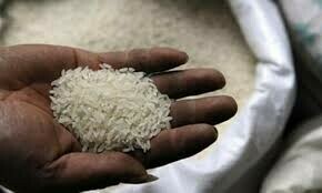 India allows non-basmati rice exports India allows non-basmati rice exports