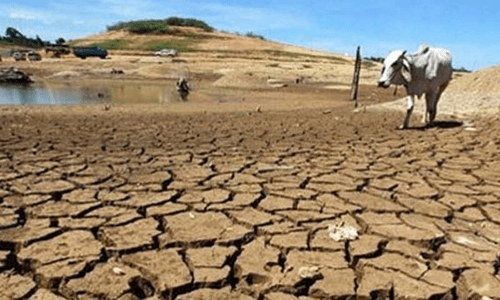 Agriculture: Water scarcity — an irrigation crisis Agriculture: Water scarcity — an irrigation crisis