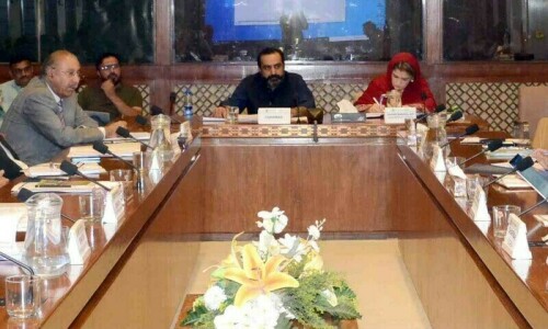 Senate panel opposes mineral corp&rsquo;s privatisation