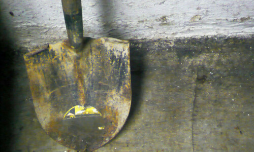 French &lsquo;Golden Owl&rsquo; treasure hunt ends after 31 years