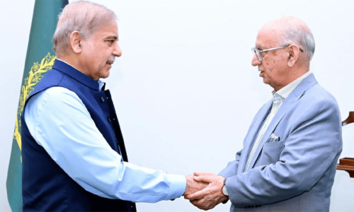 Senator Irfan Siddiqui briefs Shehbaz on constitutional package